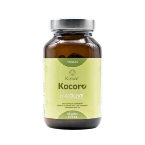 Kokoro